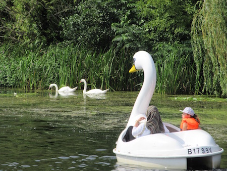 swan-boat-public-parks-orlando